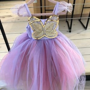 Pottery Barn Kids Fairy Costume